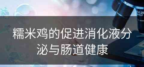 糯米鸡的促进消化液分泌与肠道健康